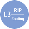 L3 RIP Routing