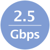 2.5 Gbps